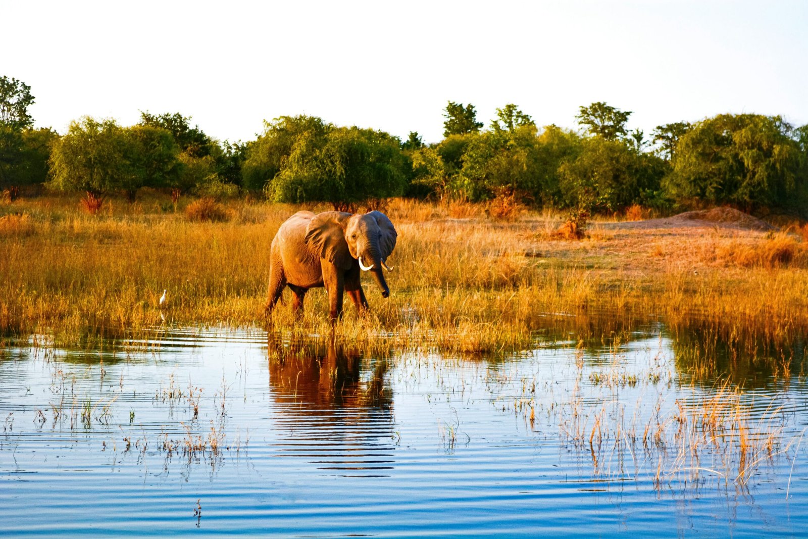 arpit rastogi jcfpoa5gnra unsplash