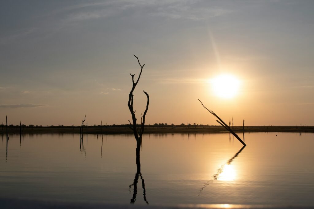 samuel ngwarai htls112gila unsplash (2)