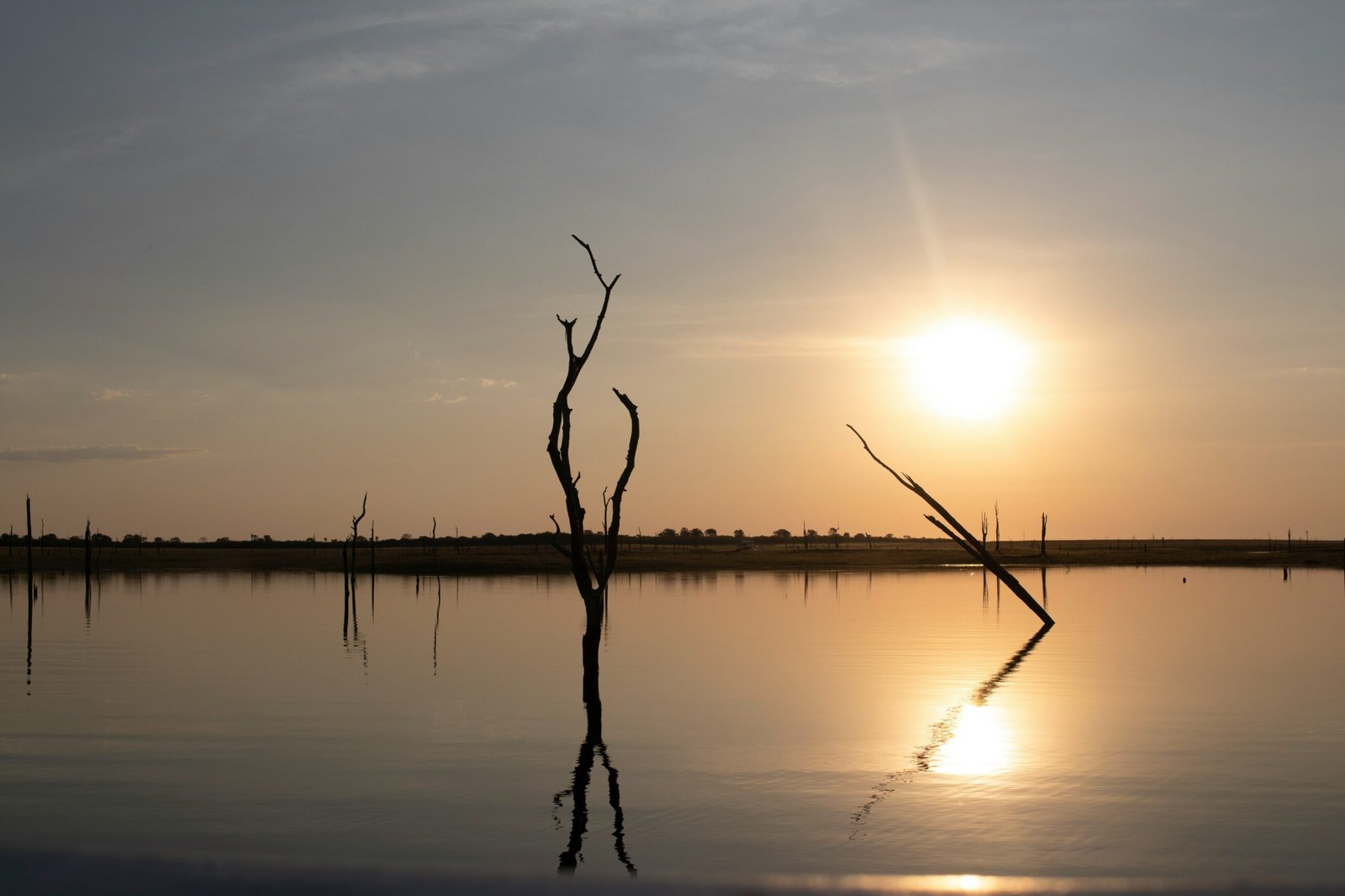 samuel ngwarai htls112gila unsplash (2)